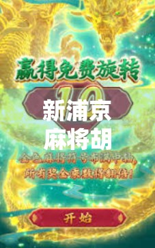 新浦京麻将胡了？别急，先看懂这几点再开牌！